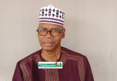 Mouvement des réformateurs : l’échec d’une réforme interne et les limites des mouvements politiques en Guinée