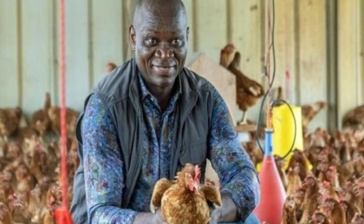 Gabon : Le pays entre dans la phase de vérité avant l’interdiction du poulet importé